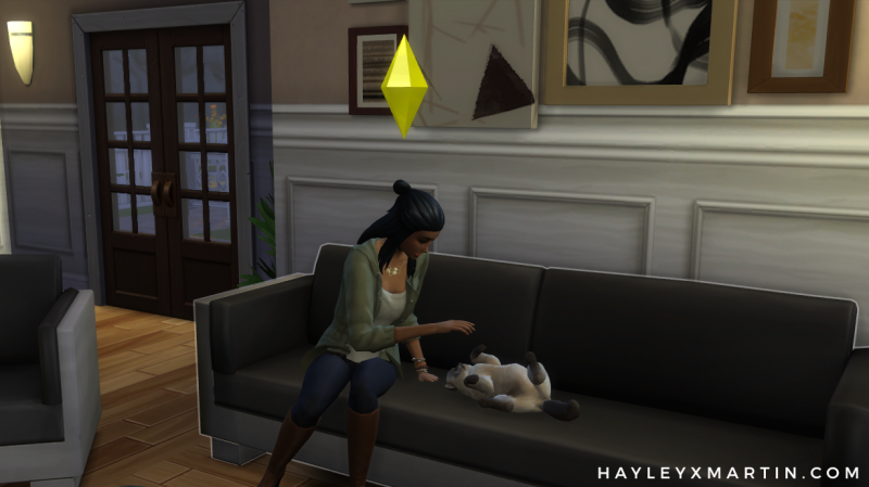 SIMS 4 CATS & DOGS - HAYLEYXMARTIN